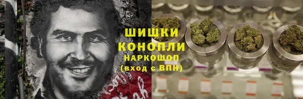 трава Корсаков