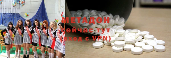 трава Корсаков