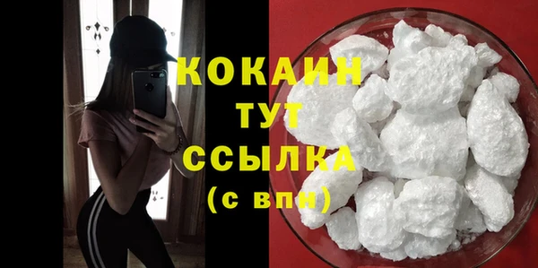 трава Корсаков