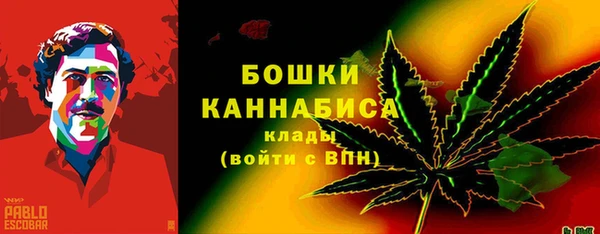 ПСИЛОЦИБИНОВЫЕ ГРИБЫ Костерёво