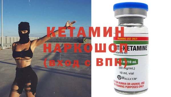трава Корсаков
