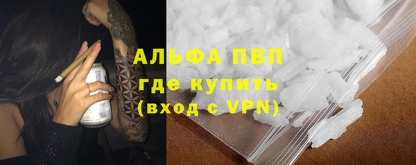 трава Корсаков