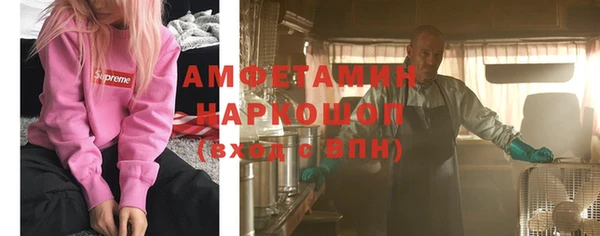 трава Корсаков