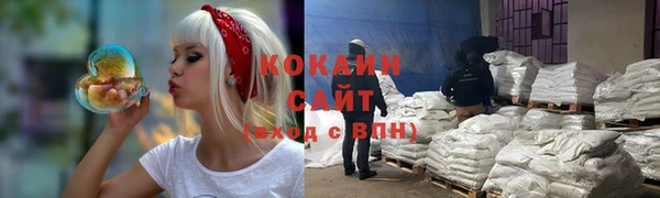 ПСИЛОЦИБИНОВЫЕ ГРИБЫ Костерёво