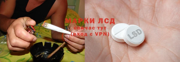 трава Корсаков