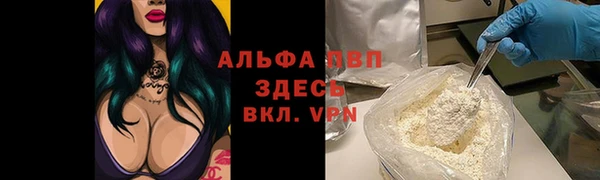 трава Корсаков