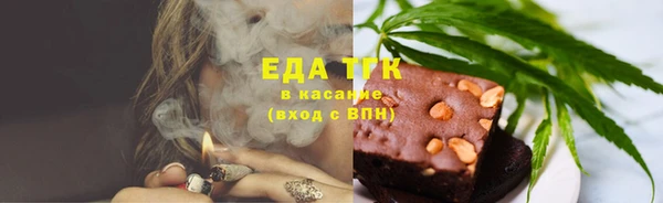 трава Корсаков
