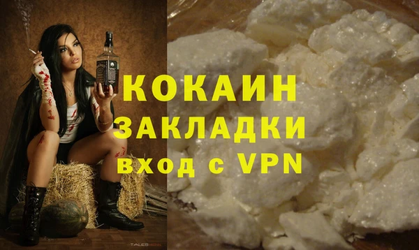 ПСИЛОЦИБИНОВЫЕ ГРИБЫ Костерёво