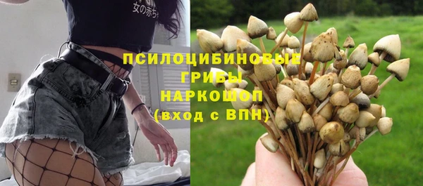 ПСИЛОЦИБИНОВЫЕ ГРИБЫ Костерёво