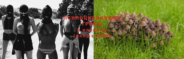 трава Корсаков