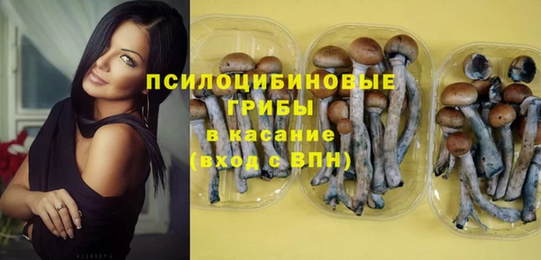 круглые Коряжма