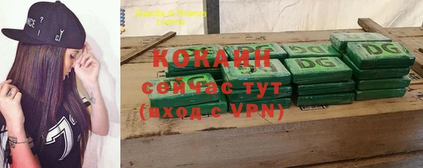 трава Корсаков